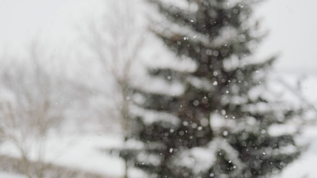 Effects of Cold Weather on Tennis Courts